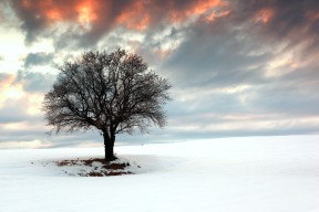 爱游戏在线登录入口-“德甲争冠集团逐步成型，领先球队稳步向前”，德甲冠军时不时来群里看看